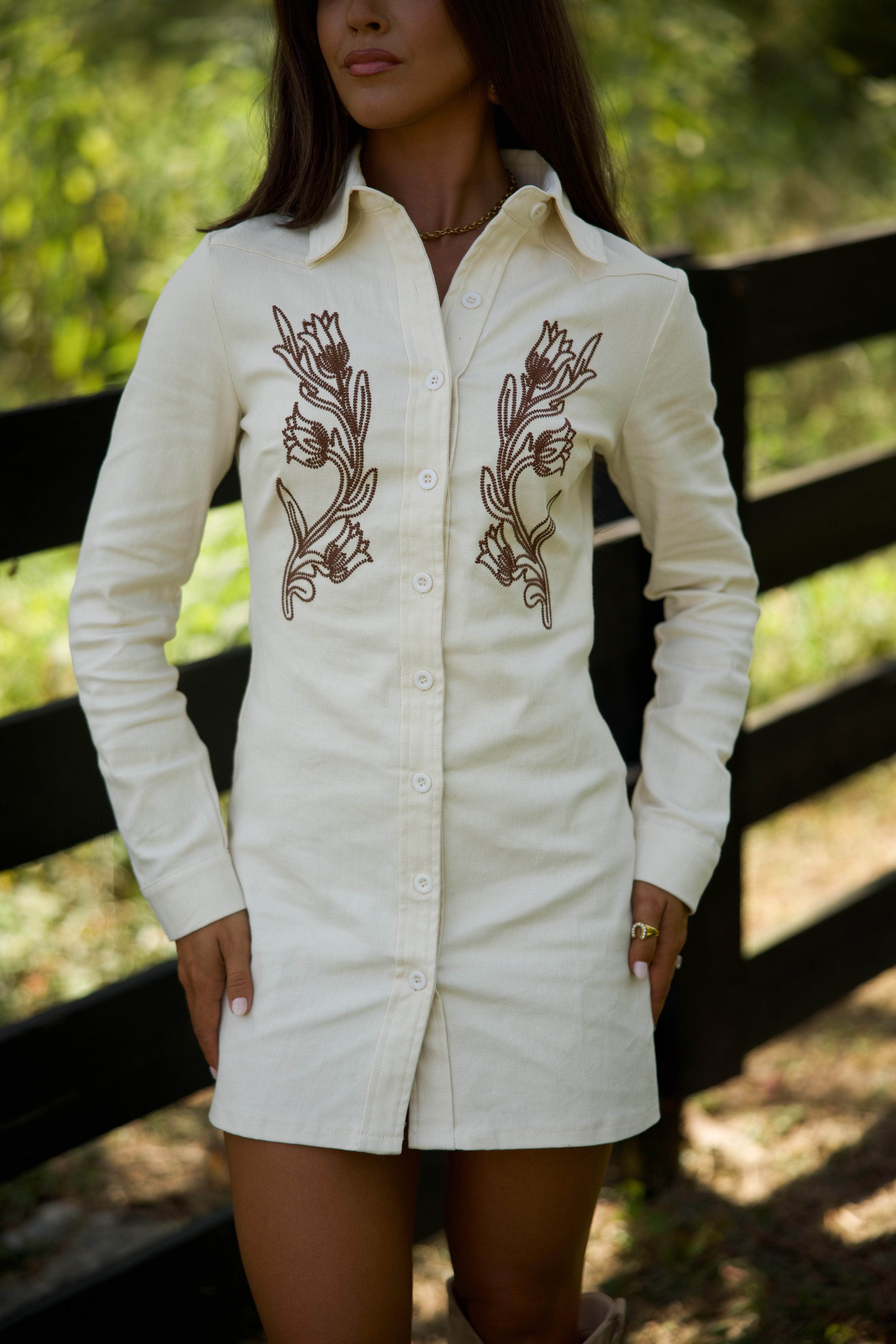Cream Western Embroidered Dress